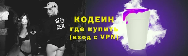 стафф Осинники