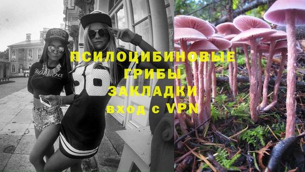 прущие крисы Алексеевка